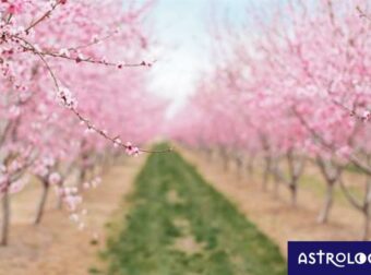Διάβασε ΔΩΡΕΑΝ την προσωπική σου πρόβλεψη, για σήμερα 20/04/2023