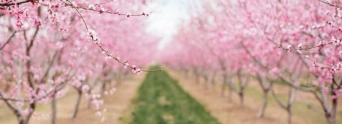 Διάβασε ΔΩΡΕΑΝ την προσωπική σου πρόβλεψη, για σήμερα 20/04/2023