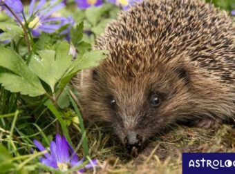 Διάβασε ΔΩΡΕΑΝ την προσωπική σου πρόβλεψη, για σήμερα 21/04/2023