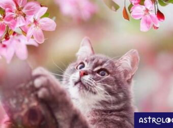 Διάβασε ΔΩΡΕΑΝ την προσωπική σου πρόβλεψη, για σήμερα 25/04/2023