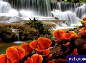 Διάβασε ΔΩΡΕΑΝ την προσωπική σου πρόβλεψη, για σήμερα 26/04/2023