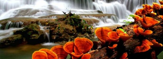 Διάβασε ΔΩΡΕΑΝ την προσωπική σου πρόβλεψη, για σήμερα 26/04/2023