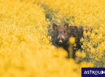 Διάβασε ΔΩΡΕΑΝ την προσωπική σου πρόβλεψη, για σήμερα 27/04/2023