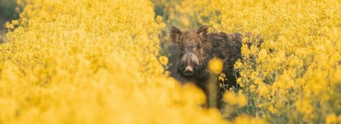 Διάβασε ΔΩΡΕΑΝ την προσωπική σου πρόβλεψη, για σήμερα 27/04/2023