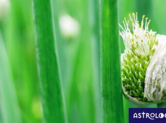 Διάβασε ΔΩΡΕΑΝ την προσωπική σου πρόβλεψη, για σήμερα 28/04/2023