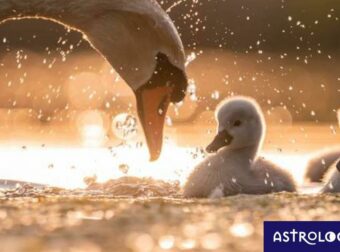 Διάβασε ΔΩΡΕΑΝ την προσωπική σου πρόβλεψη, για σήμερα 29/04/2023