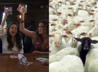 Αυτά τα 3 ζώδια είναι τα μαύρα πρόβατα της οικογένειας