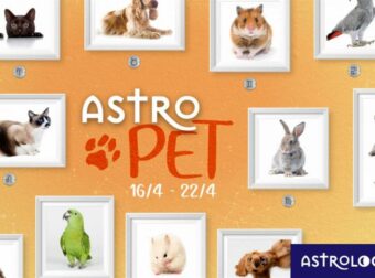 AstroPet από 16/04 έως 22/04: Εβδομαδιαίες προβλέψεις για το κατοικίδιό σου