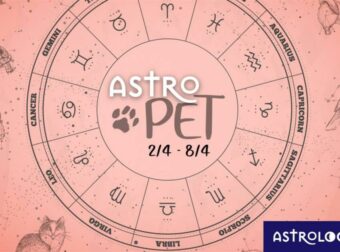 AstroPet από 02/04 έως 08/04: Εβδομαδιαίες προβλέψεις για το κατοικίδιό σου