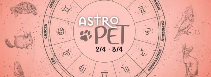 AstroPet από 02/04 έως 08/04: Εβδομαδιαίες προβλέψεις για το κατοικίδιό σου