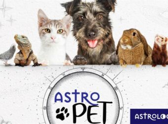 AstroPet από 23/04 έως 29/04: Εβδομαδιαίες προβλέψεις για το κατοικίδιό σου