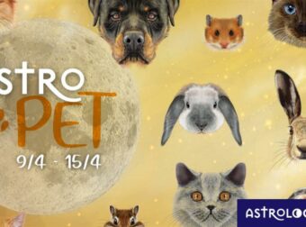 AstroPet από 09/04 έως 15/04: Εβδομαδιαίες προβλέψεις για το κατοικίδιό σου