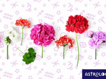 Εβδομαδιαίες προβλέψεις από 30/04 έως 06/05: Ο χρόνος τελειώνει