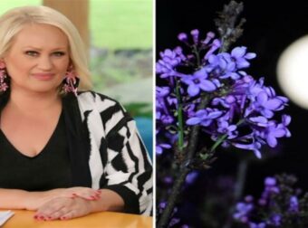 «Καύσωνας» δυσάρεστων αισθημάτων για Κριούς, Καρκίνους κι άλλα 2 ζώδια: Βόμβα με την Ηλιακή Έκλειψη από την Άση Μπήλιου!