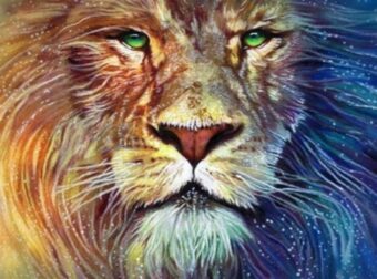 Τα τέσσερα πιο ισχυρά ζώδια και οι κρυμμένες τους δυνάμεις!