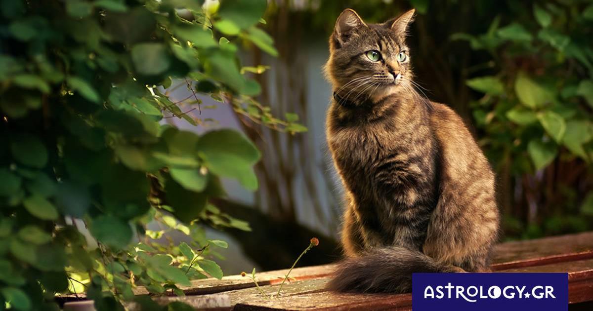 Διάβασε ΔΩΡΕΑΝ την προσωπική σου πρόβλεψη, για σήμερα 06/05/2023