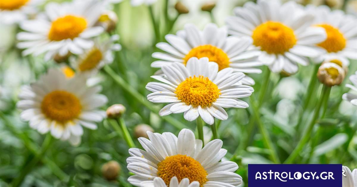 Διάβασε ΔΩΡΕΑΝ την προσωπική σου πρόβλεψη, για σήμερα 11/05/2023