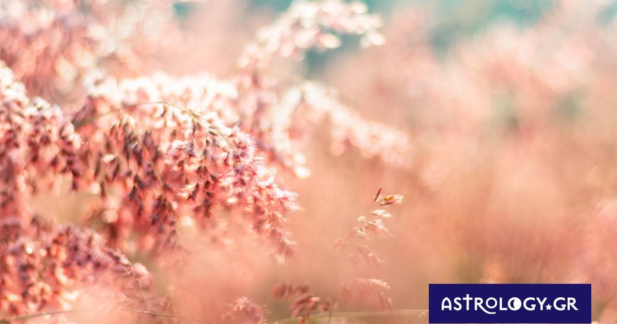 Διάβασε ΔΩΡΕΑΝ την προσωπική σου πρόβλεψη, για σήμερα 15/05/2023