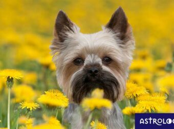Διάβασε ΔΩΡΕΑΝ την προσωπική σου πρόβλεψη, για σήμερα 02/05/2023