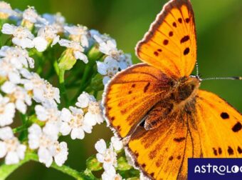 Διάβασε ΔΩΡΕΑΝ την προσωπική σου πρόβλεψη, για σήμερα 04/05/2023