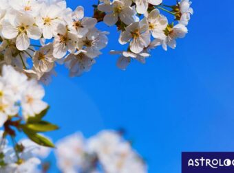 Διάβασε ΔΩΡΕΑΝ την προσωπική σου πρόβλεψη, για σήμερα 05/05/2023