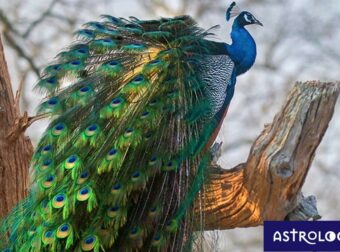 Διάβασε ΔΩΡΕΑΝ την προσωπική σου πρόβλεψη, για σήμερα 08/05/2023