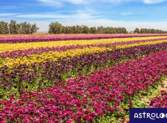 Διάβασε ΔΩΡΕΑΝ την προσωπική σου πρόβλεψη, για σήμερα 09/05/2023