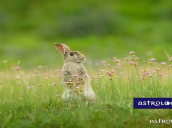 Διάβασε ΔΩΡΕΑΝ την προσωπική σου πρόβλεψη, για σήμερα 10/05/2023