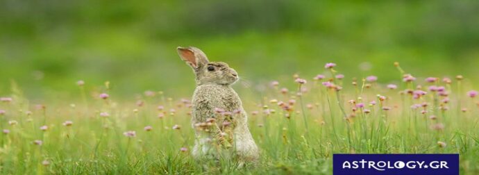 Διάβασε ΔΩΡΕΑΝ την προσωπική σου πρόβλεψη, για σήμερα 10/05/2023