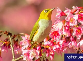 Διάβασε ΔΩΡΕΑΝ την προσωπική σου πρόβλεψη, για σήμερα 12/05/2023