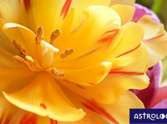 Διάβασε ΔΩΡΕΑΝ την προσωπική σου πρόβλεψη, για σήμερα 13/05/2023