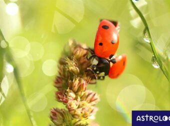 Διάβασε ΔΩΡΕΑΝ την προσωπική σου πρόβλεψη, για σήμερα 14/05/2023