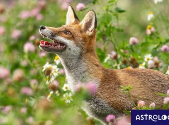 Διάβασε ΔΩΡΕΑΝ την προσωπική σου πρόβλεψη, για σήμερα 16/05/2023