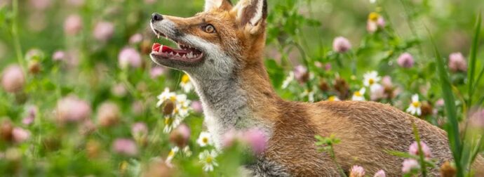 Διάβασε ΔΩΡΕΑΝ την προσωπική σου πρόβλεψη, για σήμερα 16/05/2023