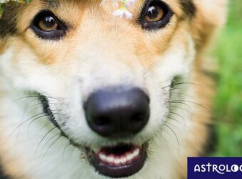 Διάβασε ΔΩΡΕΑΝ την προσωπική σου πρόβλεψη, για σήμερα 18/05/2023