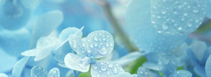 Διάβασε ΔΩΡΕΑΝ την προσωπική σου πρόβλεψη, για σήμερα 19/05/2023