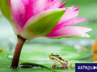 Διάβασε ΔΩΡΕΑΝ την προσωπική σου πρόβλεψη, για σήμερα 20/05/2023