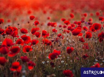 Διάβασε ΔΩΡΕΑΝ την προσωπική σου πρόβλεψη, για σήμερα 21/05/2023