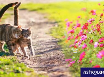 Διάβασε ΔΩΡΕΑΝ την προσωπική σου πρόβλεψη, για σήμερα 22/05/2023