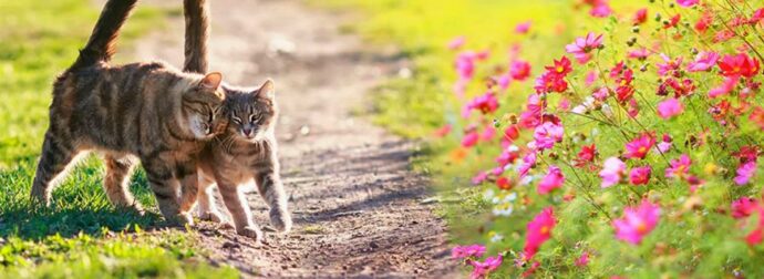 Διάβασε ΔΩΡΕΑΝ την προσωπική σου πρόβλεψη, για σήμερα 22/05/2023