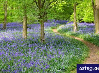 Διάβασε ΔΩΡΕΑΝ την προσωπική σου πρόβλεψη, για σήμερα 23/05/2023