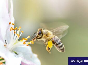 Διάβασε ΔΩΡΕΑΝ την προσωπική σου πρόβλεψη, για σήμερα 24/05/2023