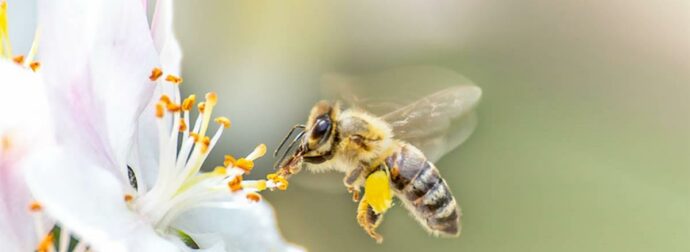 Διάβασε ΔΩΡΕΑΝ την προσωπική σου πρόβλεψη, για σήμερα 24/05/2023
