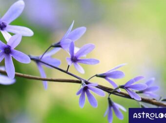 Διάβασε ΔΩΡΕΑΝ την προσωπική σου πρόβλεψη, για σήμερα 26/05/2023