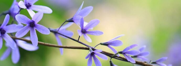 Διάβασε ΔΩΡΕΑΝ την προσωπική σου πρόβλεψη, για σήμερα 26/05/2023