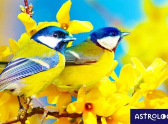 Διάβασε ΔΩΡΕΑΝ την προσωπική σου πρόβλεψη, για σήμερα 27/05/2023