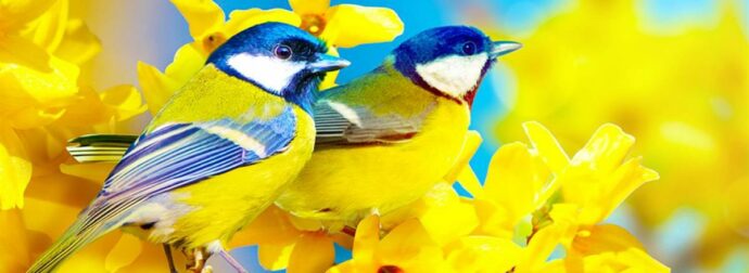 Διάβασε ΔΩΡΕΑΝ την προσωπική σου πρόβλεψη, για σήμερα 27/05/2023