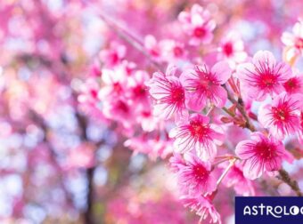 Διάβασε ΔΩΡΕΑΝ την προσωπική σου πρόβλεψη, για σήμερα 28/05/2023