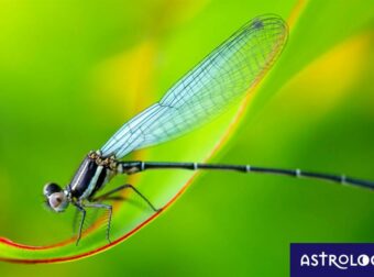 Διάβασε ΔΩΡΕΑΝ την προσωπική σου πρόβλεψη, για σήμερα 29/05/2023