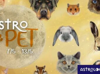 AstroPet από 07/05 έως 13/05: Εβδομαδιαίες προβλέψεις για το κατοικίδιό σου